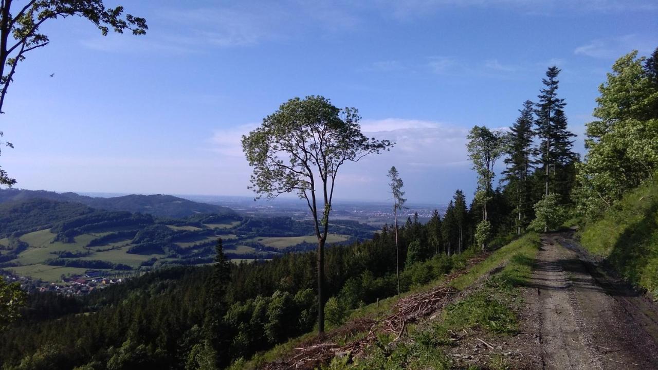 Dobra Chata V Dobre Villa Frýdek-Místek Kültér fotó